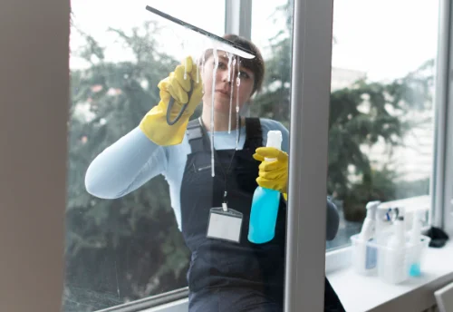 Nettoyage de vitres intérieures et extérieures à Saint-Vran